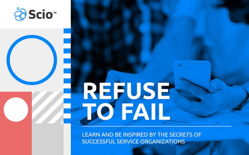 平面設計 scio 軟件開發(fā)品牌形象設計