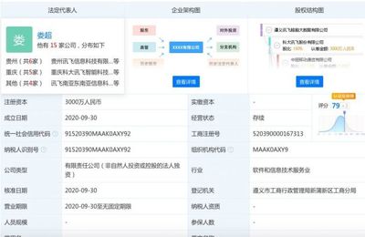 科大訊飛在遵義成立大數(shù)據(jù)公司 注冊(cè)資本3000萬人民幣